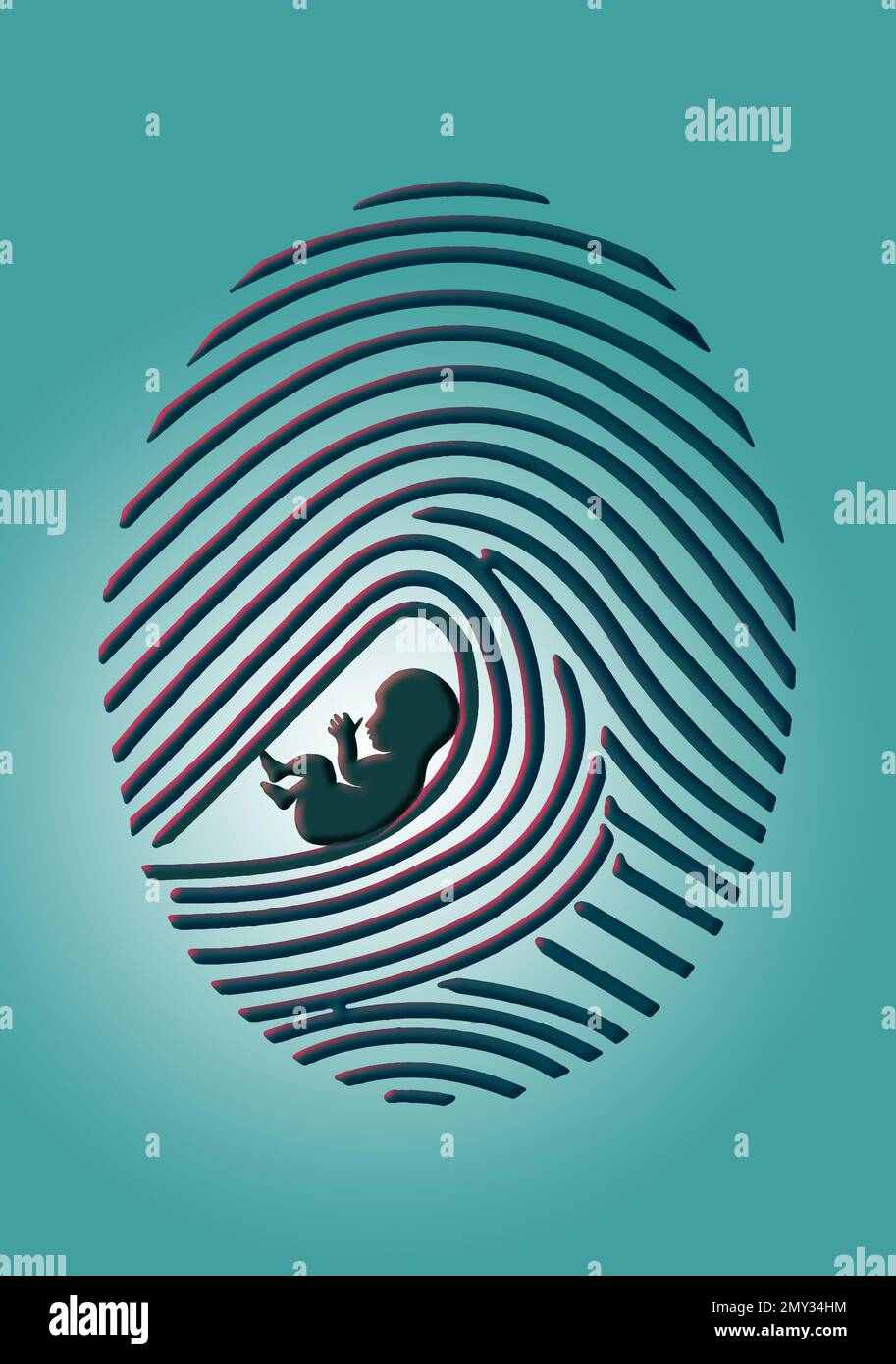 A fingerprint is seen with a human fetus in a 3-d illustration about if or when does a fetus become a human being with regards to abortion rights argu Stock Photo