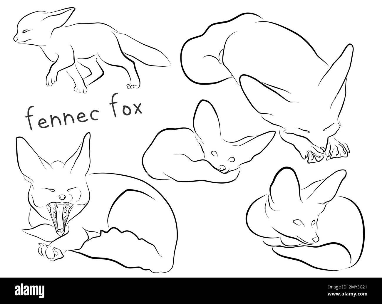 fennec fox set outline illustration vector elements for design Stock Vector