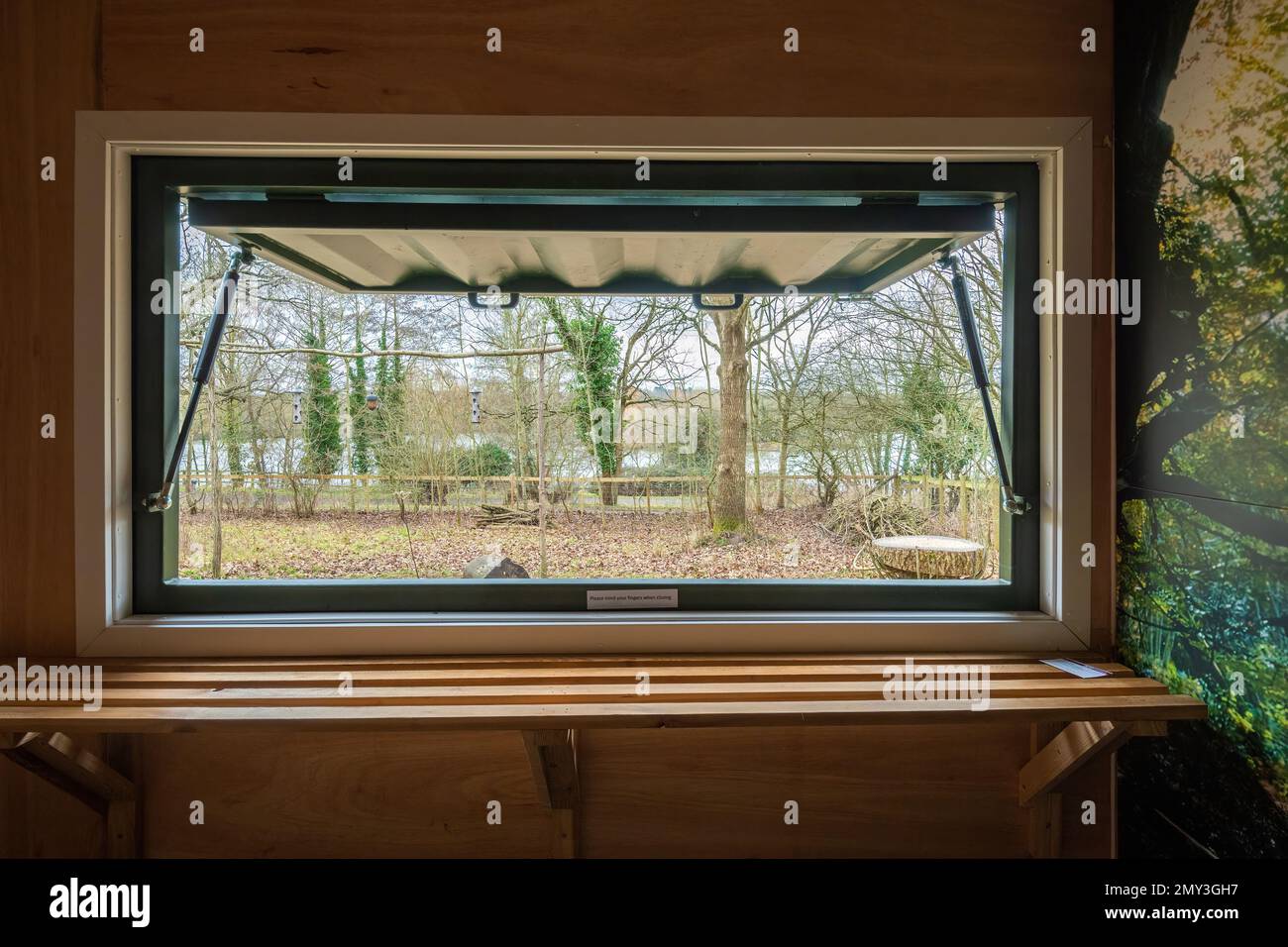 Thatcham Nature Discovery Centre, Berkshire, England, UK during February or winter. View from the woodland bird-watching hide Stock Photo