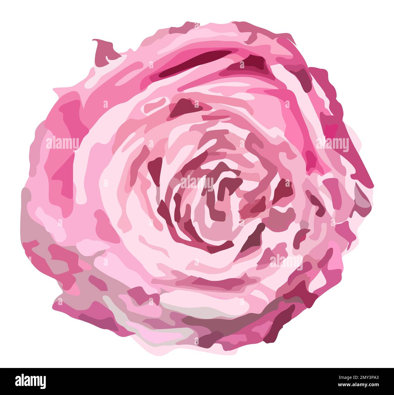 Stylest Rose Beautiful rose illustration on white background. Stylish design Stock ...