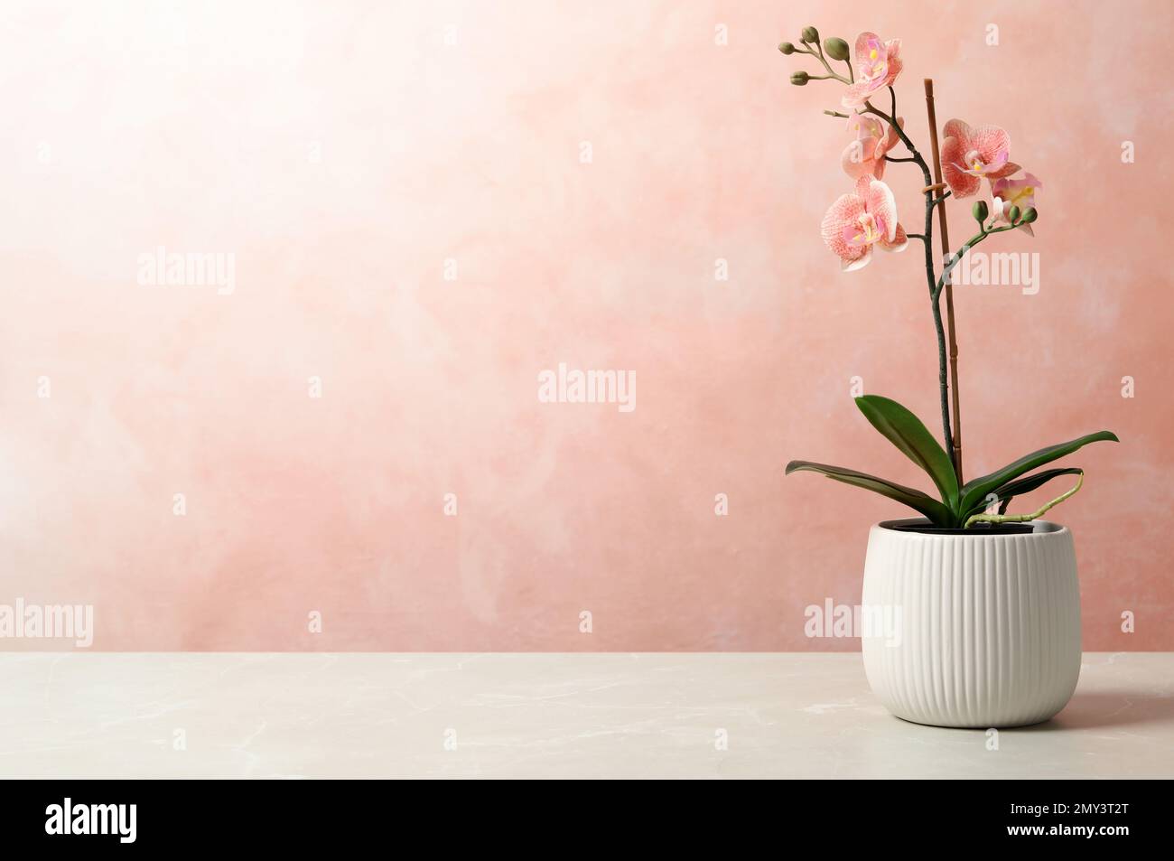 Beautiful artificial plant in flower pot on light table against color background. Space for text Stock Photo