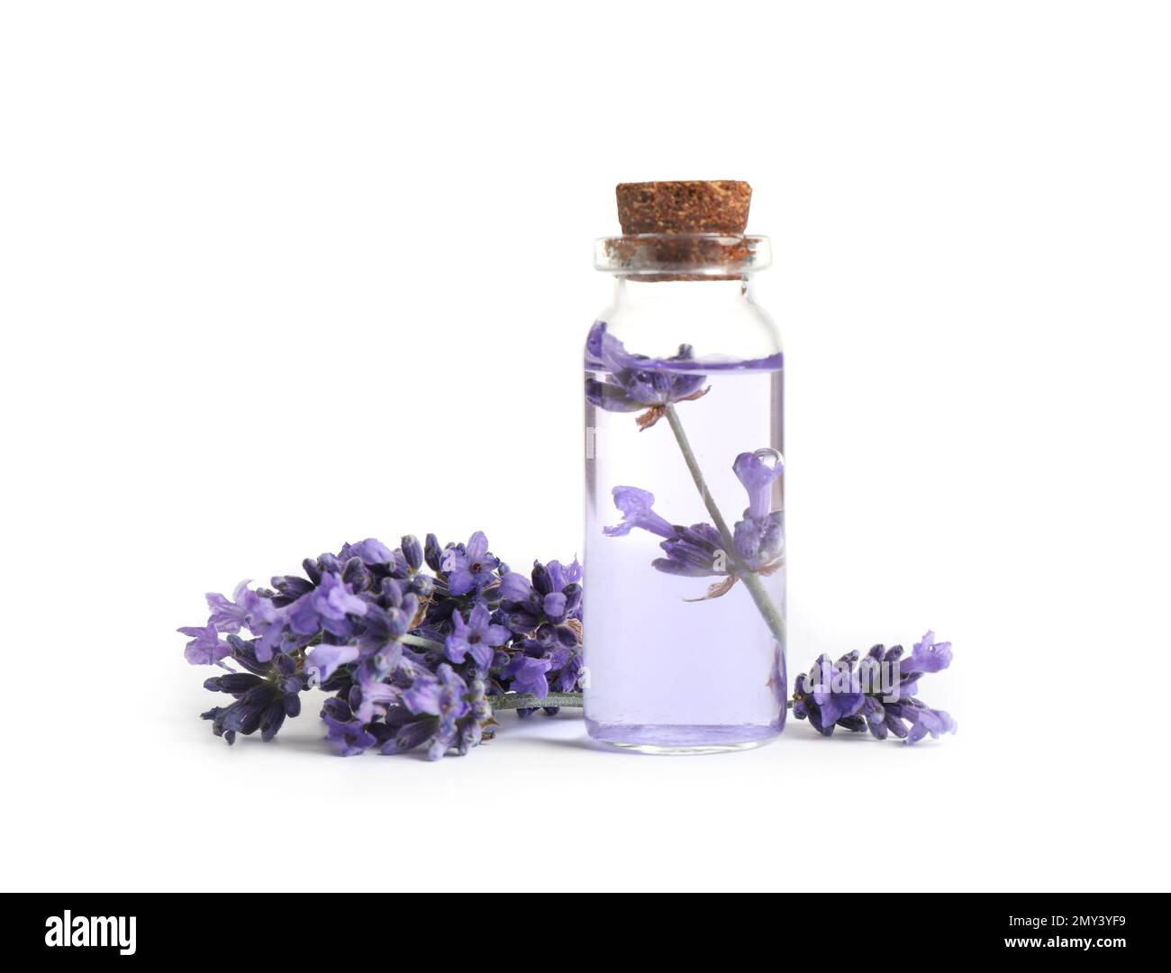 Bottle of essential oil and lavender flowers on white background Stock ...