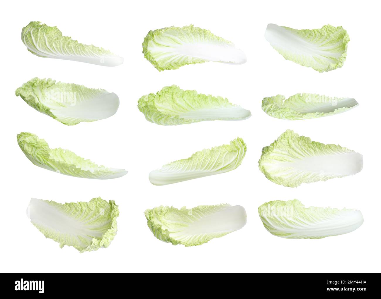 Fresh Chinese cabbage leaves on white background Stock Photo