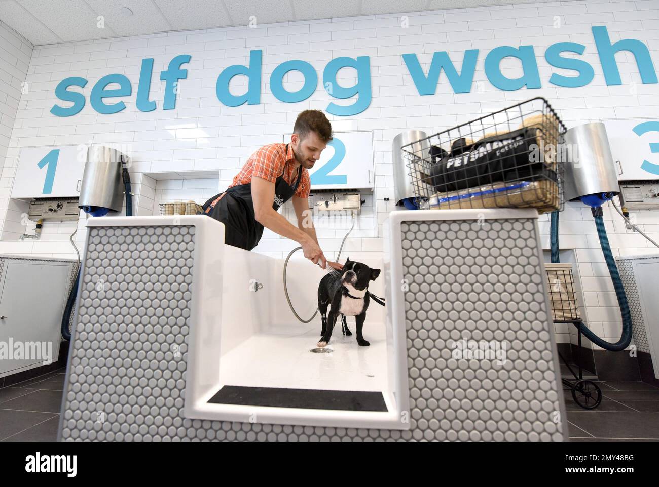 Do It Yourself Dog Wash