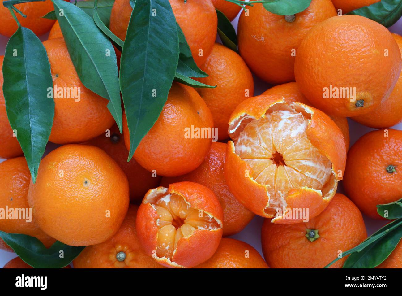 Mandarin oranges fruit with decorative peeled piece and with fresh