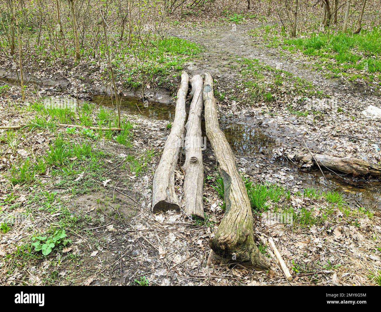 Logs across the creek. Three logs lie across the creek forming a bridge ...