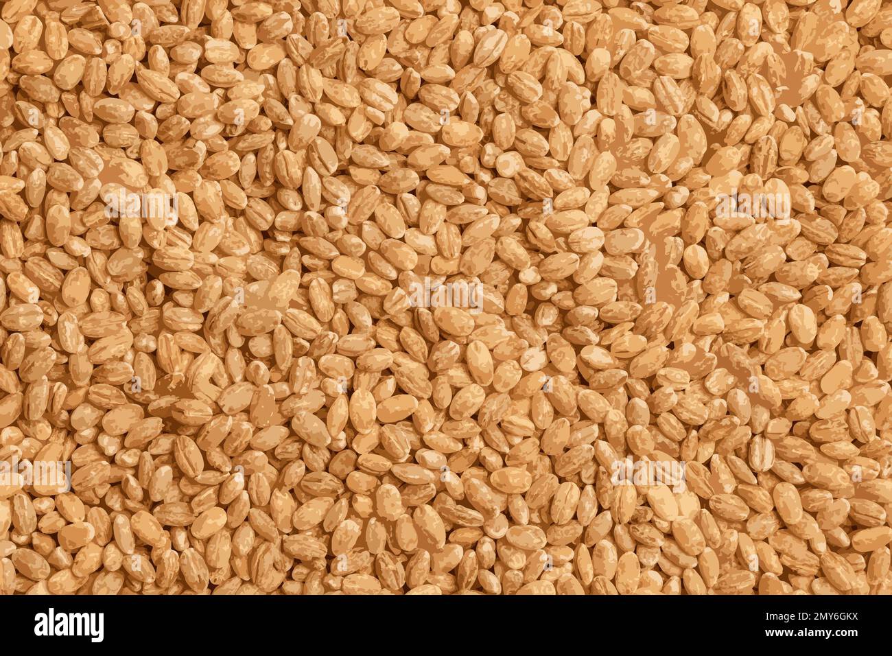 Realistic illustration of Pearl barley background closeup, top view