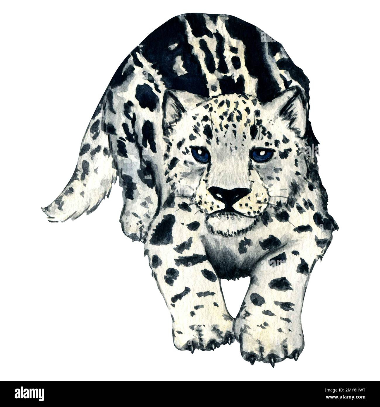 Snow Leopard Drawing For Kids