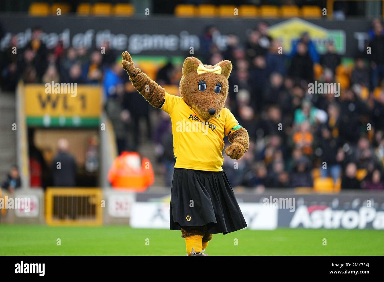 Wolverhampton, UK. 4th Feb 2023. Wolverhampton mascot waves to the crowd before the Premier League match between Wolverhampton Wanderers and Liverpool at Molineux, Wolverhampton, England on 4 February 2023. Photo by Scott Boulton. Editorial use only, license required for commercial use. No use in betting, games or a single club/league/player publications. Credit: UK Sports Pics Ltd/Alamy Live News Stock Photo