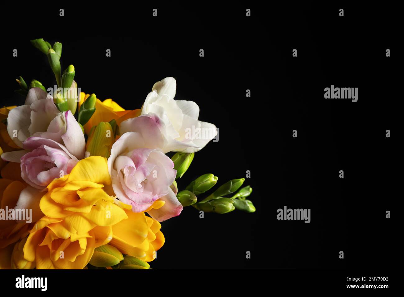 Freesia Flower Arrangement With Aromatherapy Essential Oil Bottle With  White Spa Towels And Linen Sponge Over Bamboo Background Stock Photo,  Picture and Royalty Free Image. Image 16383864.