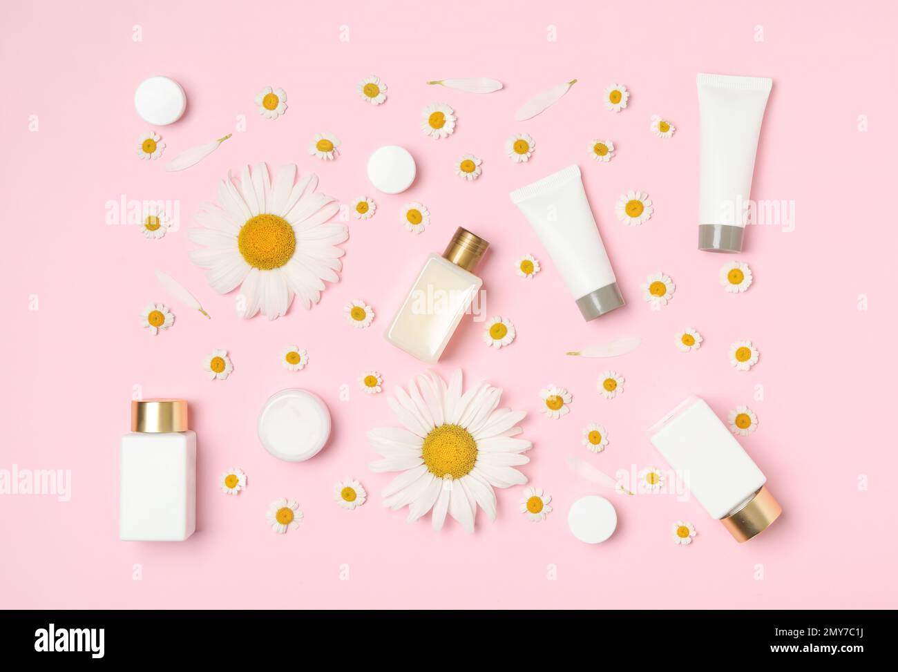 Flat lay composition with chamomiles and cosmetic products on pink ...