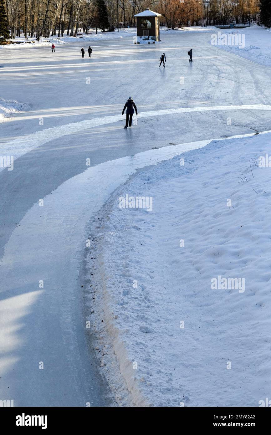 Winter natural outdoor ice skating on the Bowness Park Lagoon while being resurfaced in Calgary Alberta Canada Stock Photo
