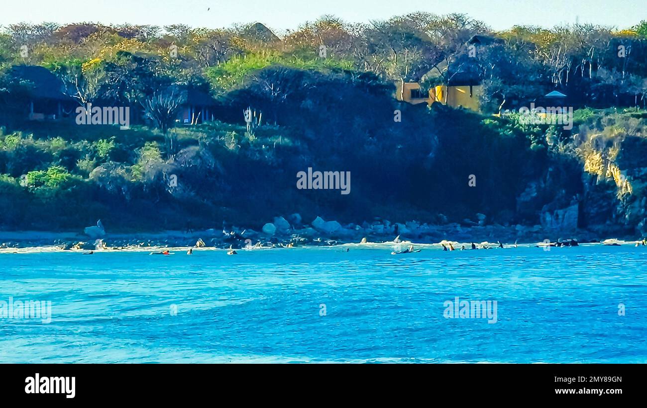 Extremely huge big surfer waves on the beach at La Punta de Zicatela ...