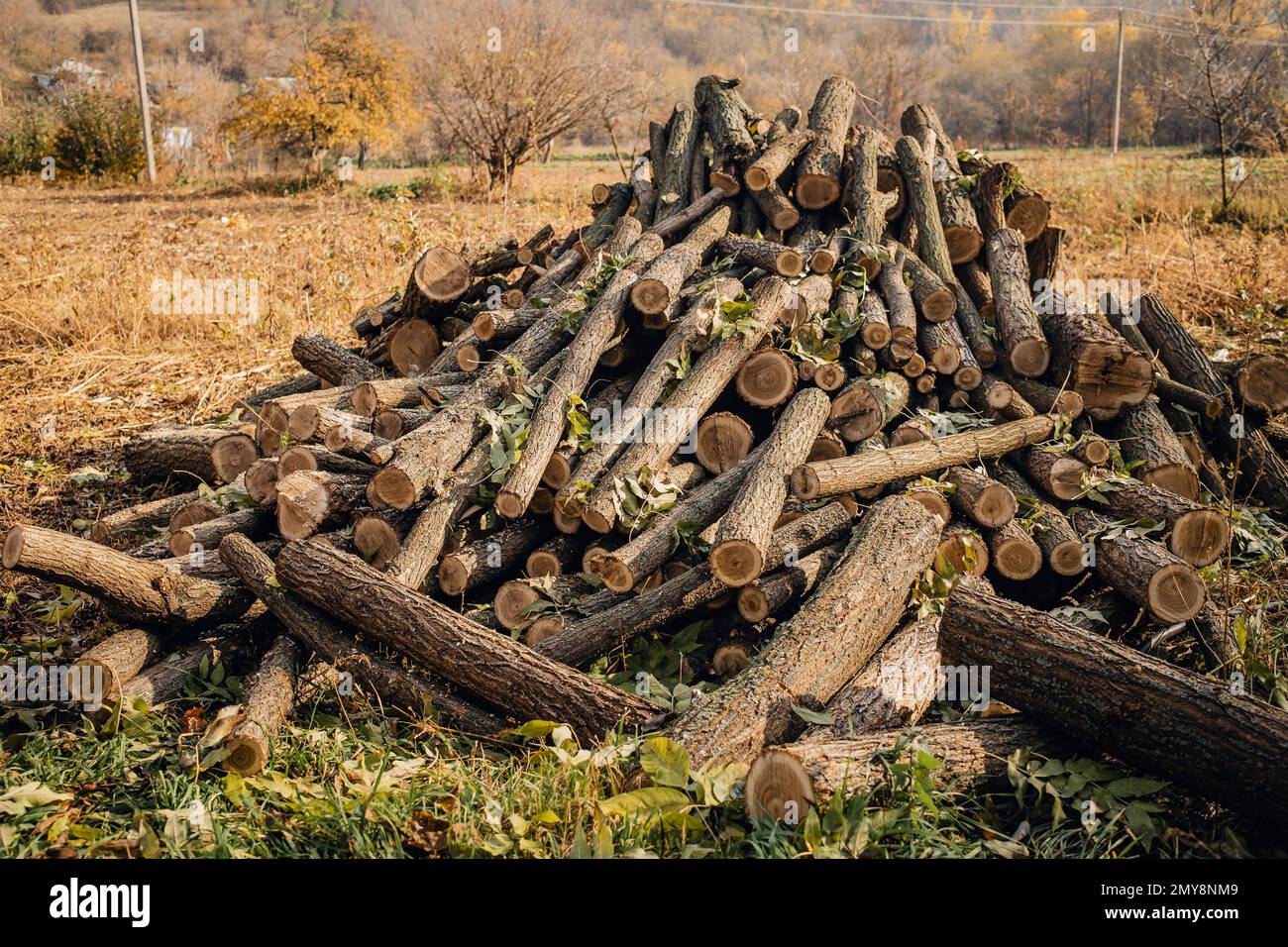 Logs of chopped and stacked firewood stacks. Fuel for heating in fireplaces and furnaces. Woodpile preparation for cold winter. Concept of renewable e Stock Photo