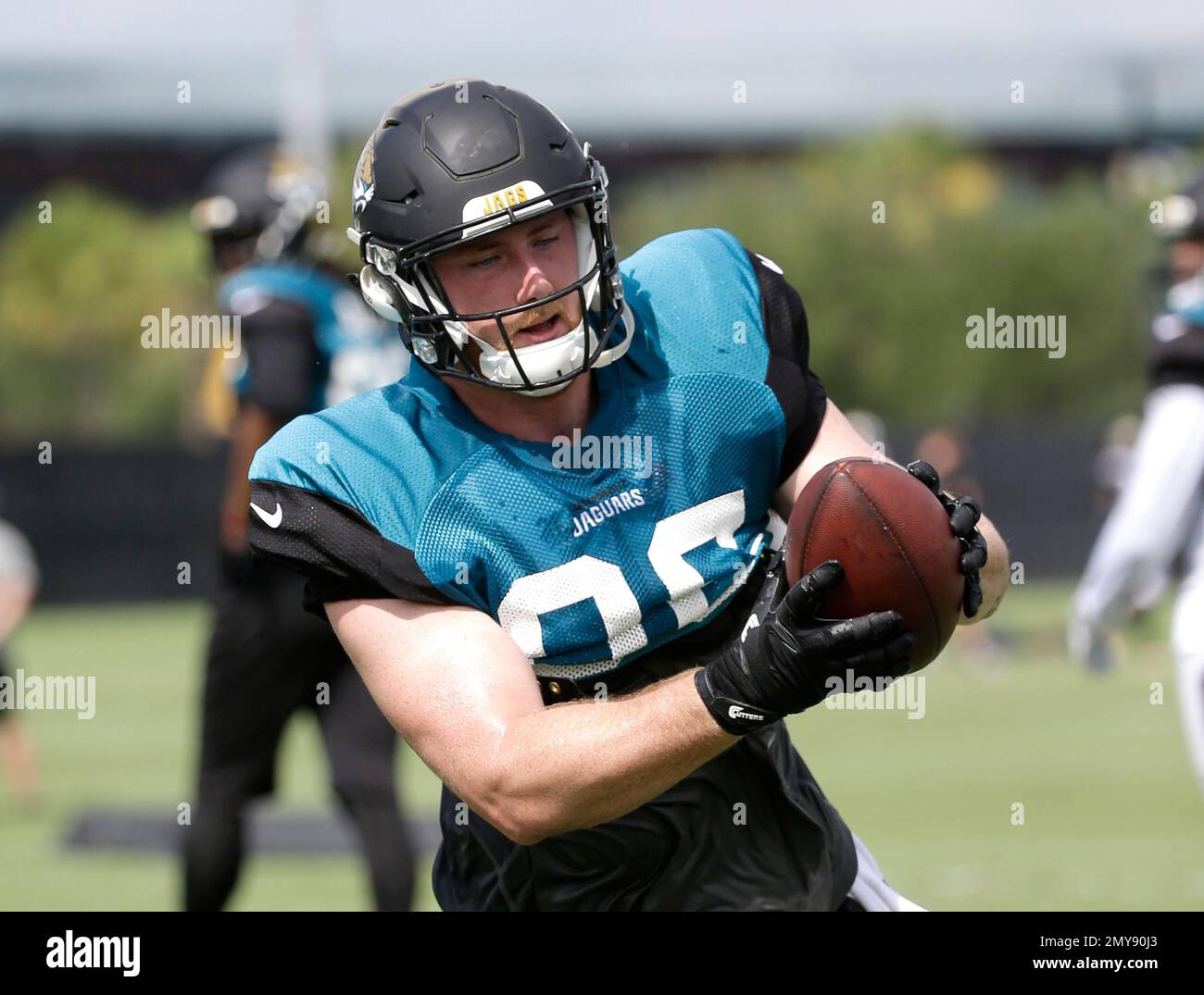 Jacksonville Jaguars tight end Neal Sterling (87) is congratulated