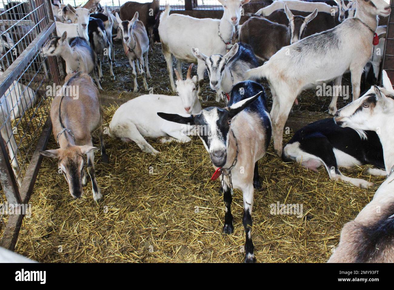 ADVANCE FOR USE SUNDAY AND THERE AFTER In this July 22, 2016, photo