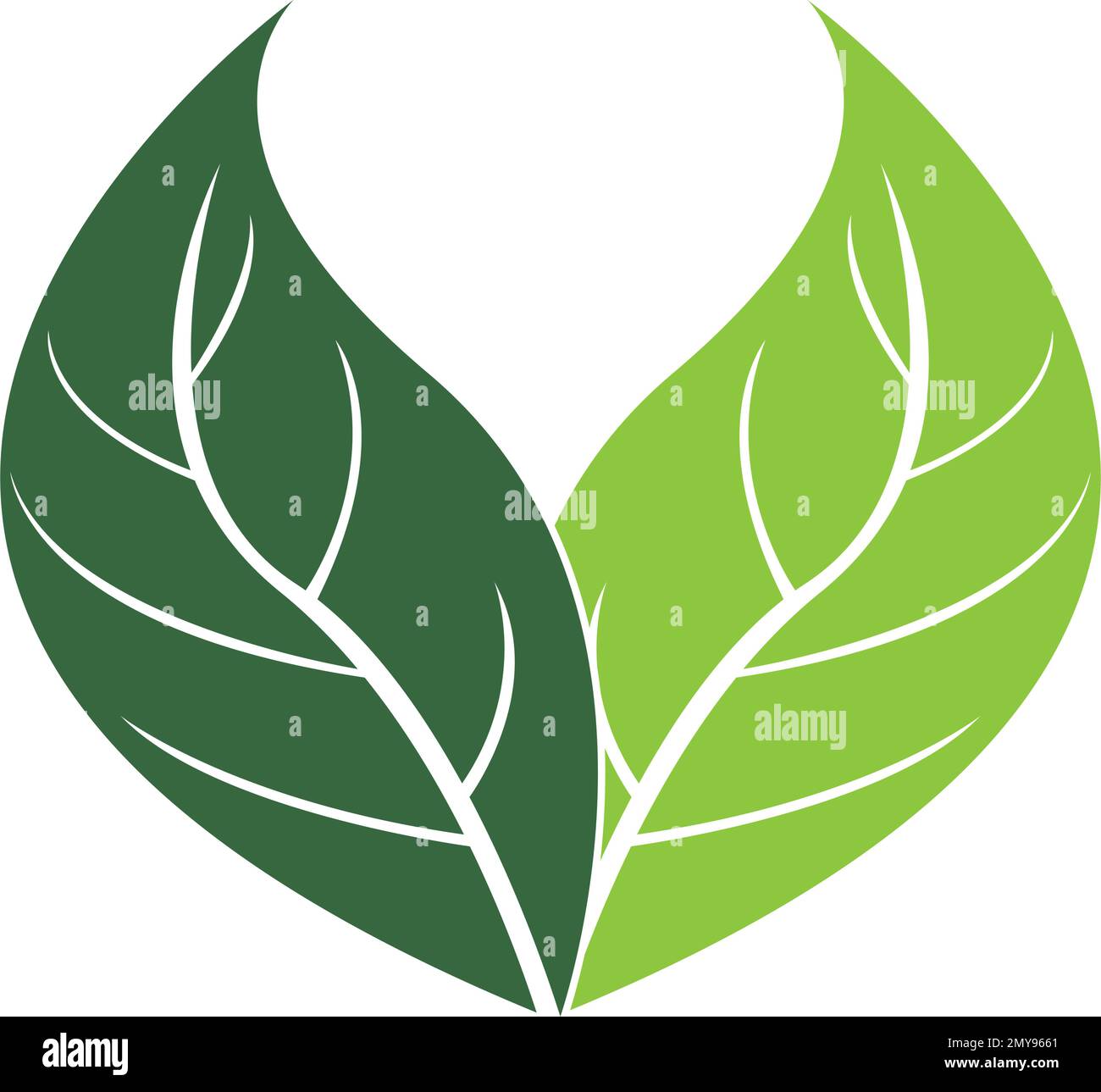 leaf logo vector template design Stock Vector Image & Art - Alamy