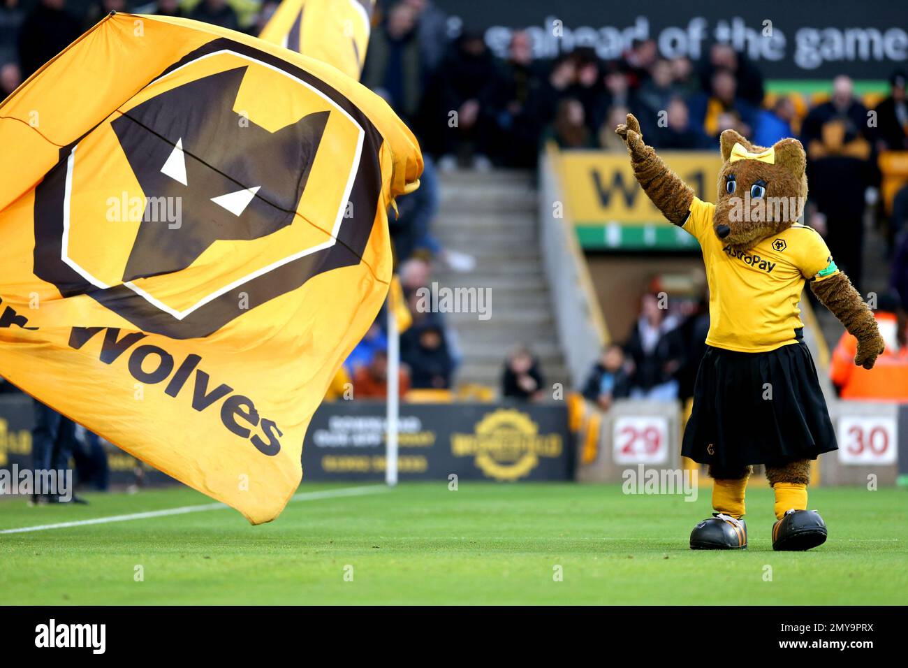 Wolverhampton Wanderers mascot Wendy on the pitch ahead of the Premier League match at Molineux Stadium, Wolverhampton. Picture date: Saturday February 4, 2023. Stock Photo