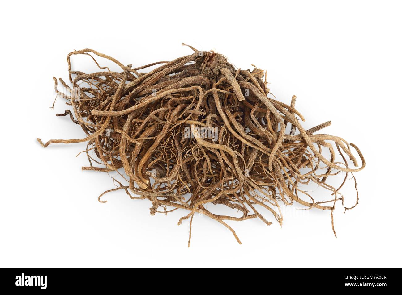Dried Valerian root isolated on white background. Valeriana officinalis ...