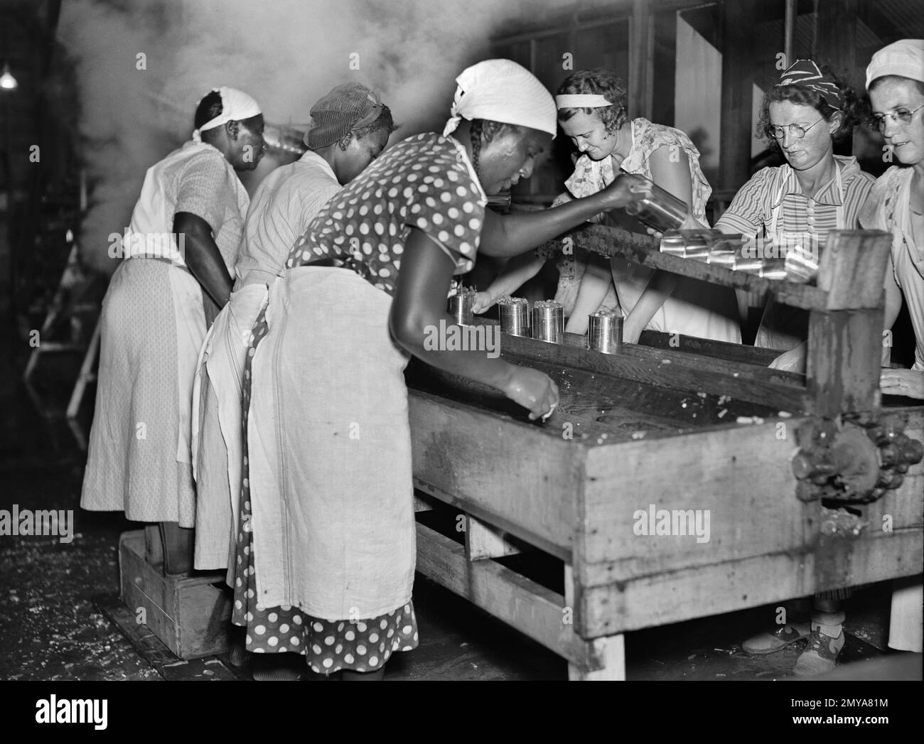 Migrant Workers at Vegetable Canning Plant, Dania, Florida, USA,  Arthur Rothstein, U.S. Resettlement Administration, January 1937 Stock Photo