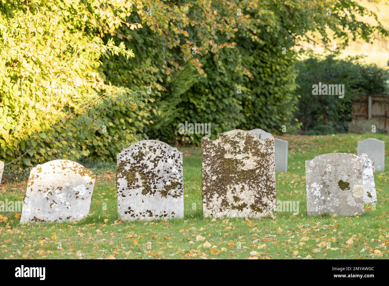 old grey grave headstones in a uk graveyard Stock Photo - Alamy