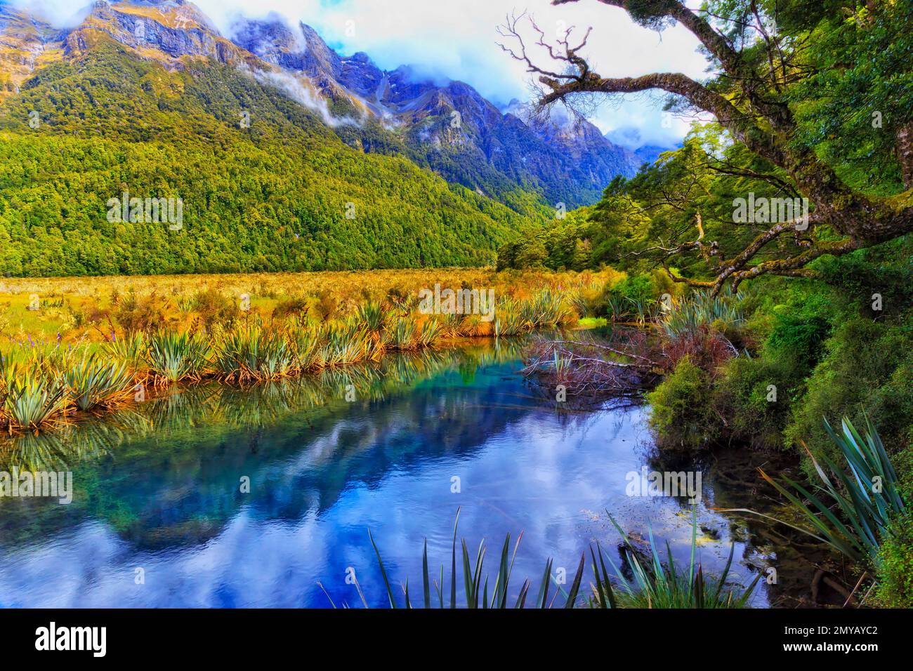 Scenic calm still mirror lakes in Milford Sound fiordland of New Zealand - mountain landscape. Stock Photo