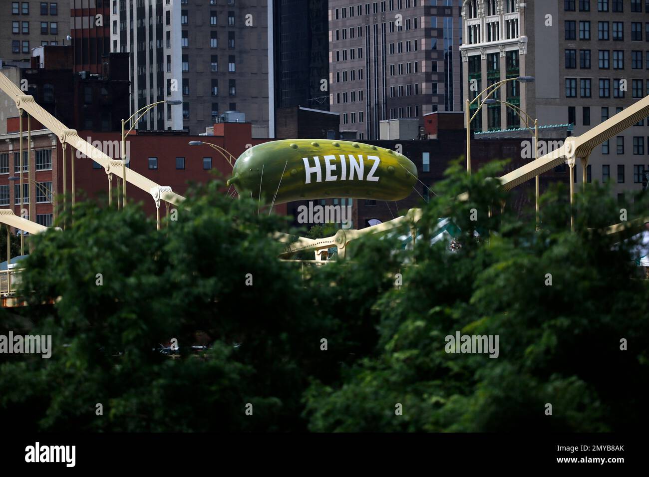 A giant pickle hangs over the Rachel Carson bridge for the annual