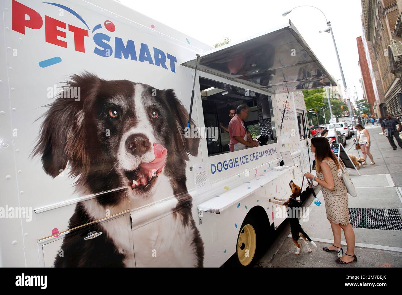 Ice cream for dogs petsmart top