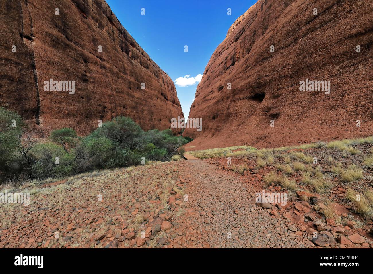 471 Sheer cliffs of the domes framing the Walpa Gorge as seen from the ...