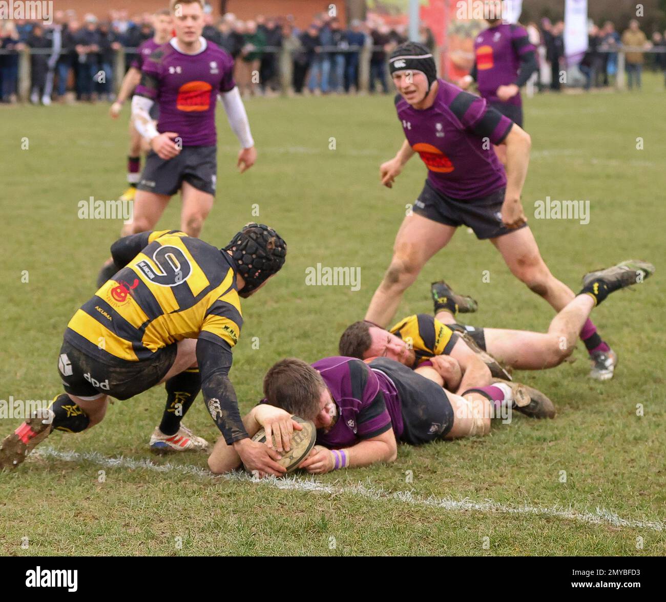4.02.2022   Leicester, England. Rugby Union.                   LionsNIck Cairns scores in the 57th minute of the National League 2 West match played between Leicester Lions and Hinckley rfc at Westleigh Park, Blaby, Leicester.  © Phil Hutchinson Stock Photo