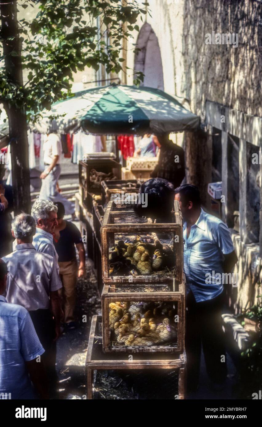 1981 archive image of live poultry for sale on Felanitx market, Majorca, Spain. Stock Photo