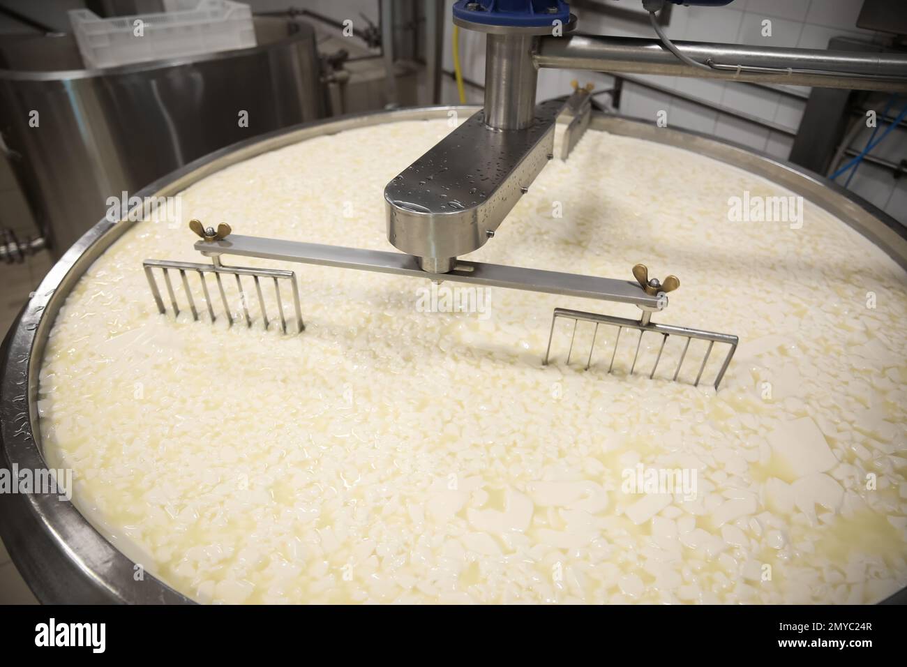 Curd and whey in tank at cheese factory Stock Photo Alamy