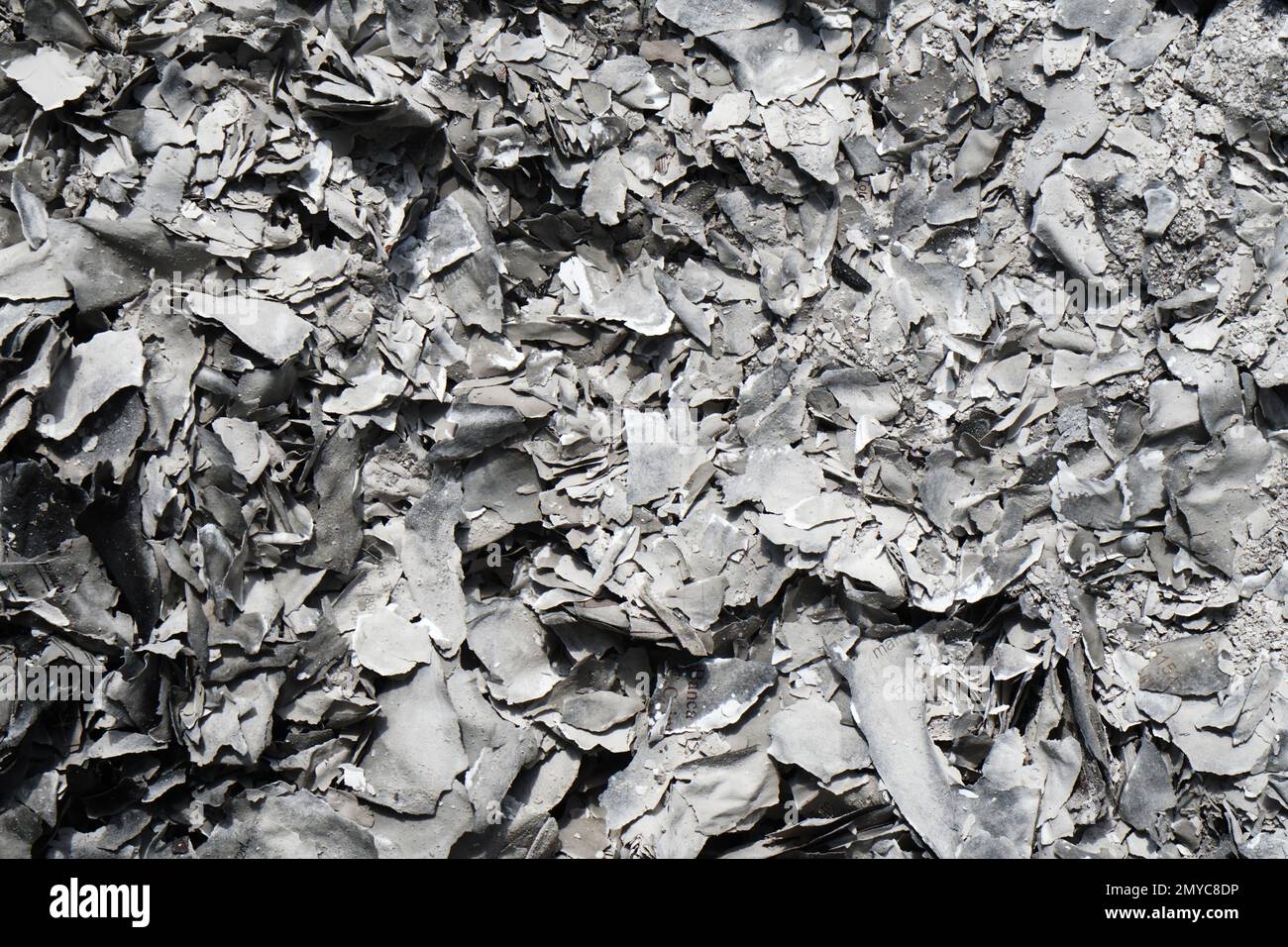 pattern of paper ashes consumed by fire Stock Photo Alamy