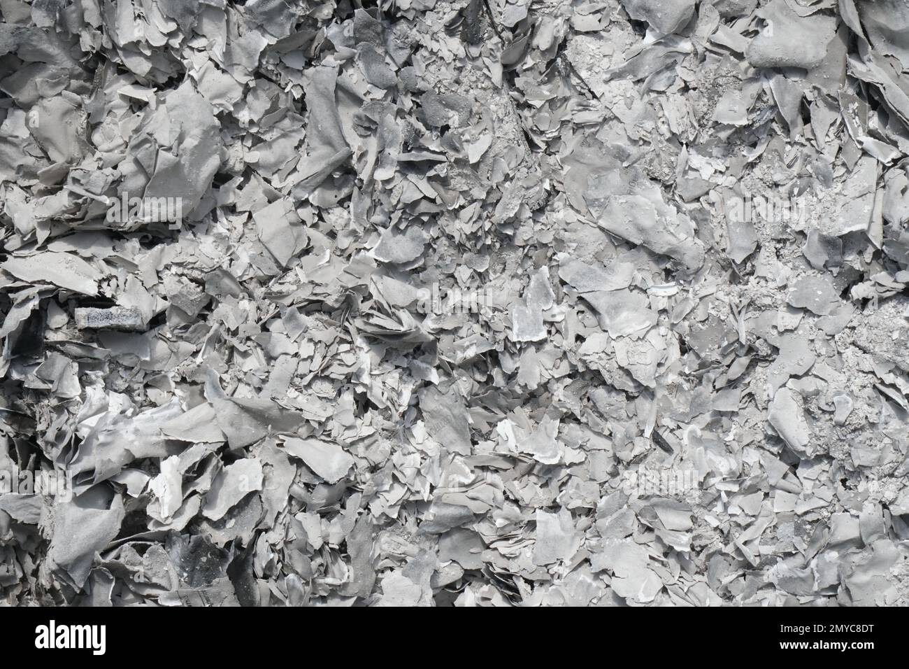 pattern of paper ashes consumed by fire Stock Photo Alamy