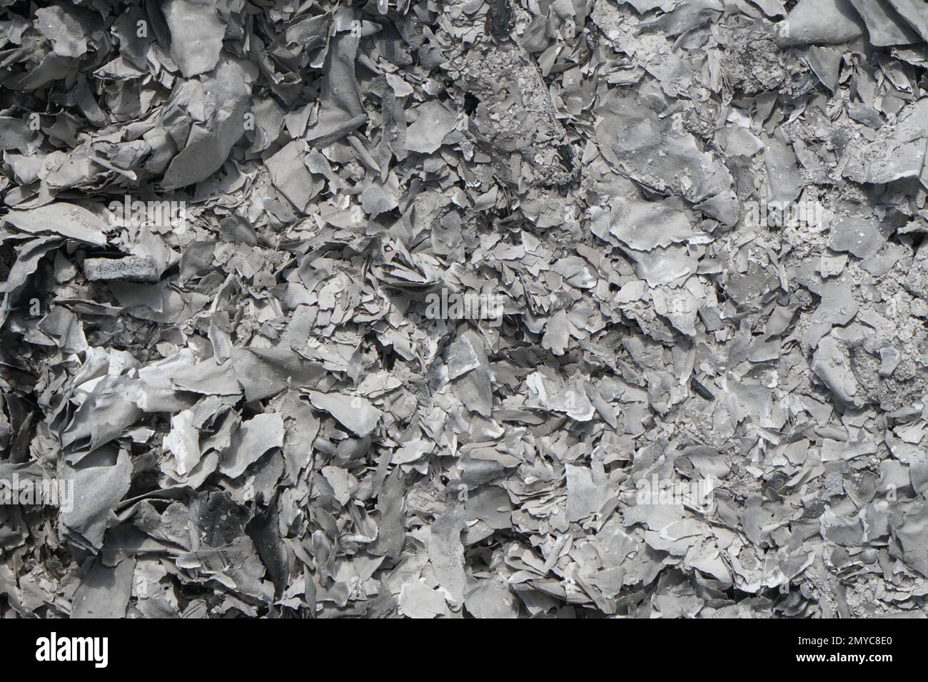 pattern of paper ashes consumed by fire Stock Photo Alamy