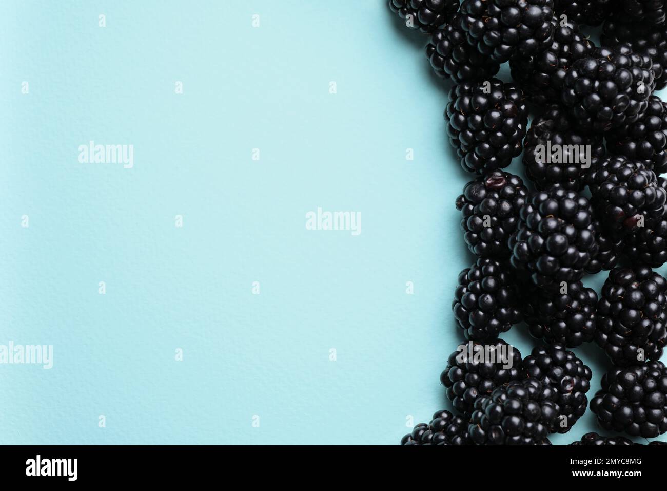 Tasty ripe blackberries on light blue background, flat lay. Space for text  Stock Photo - Alamy