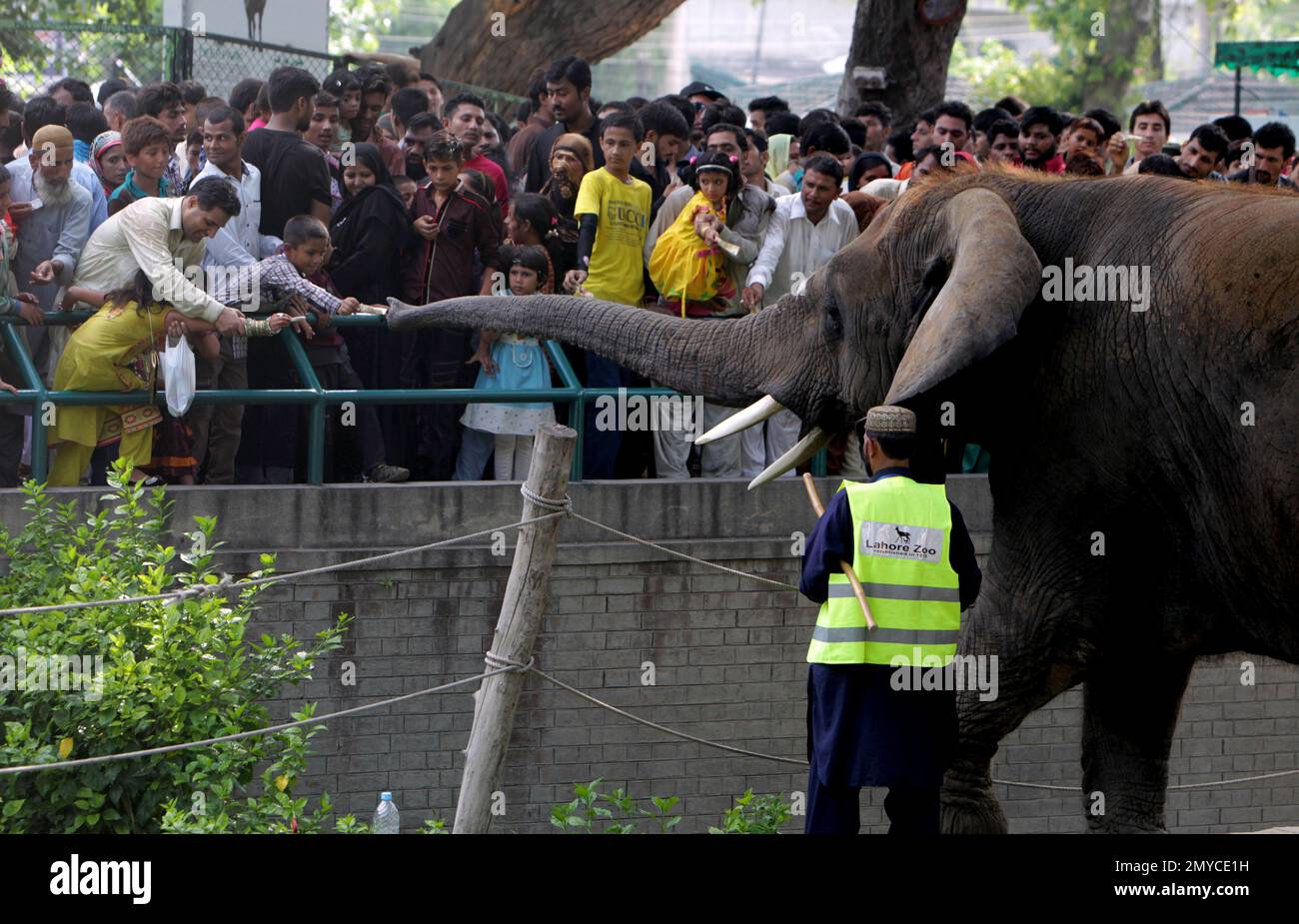 Pakistani children give money to an elephant 'Suzi' as they visit a zoo ...