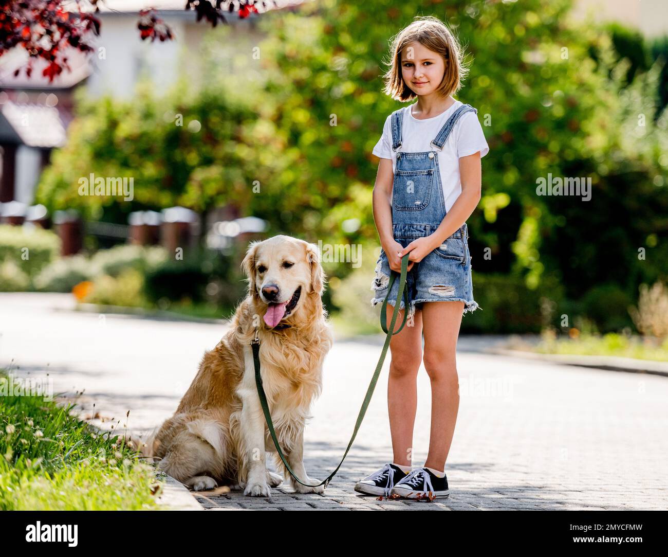 Girl with golden retriever dog Stock Photo - Alamy