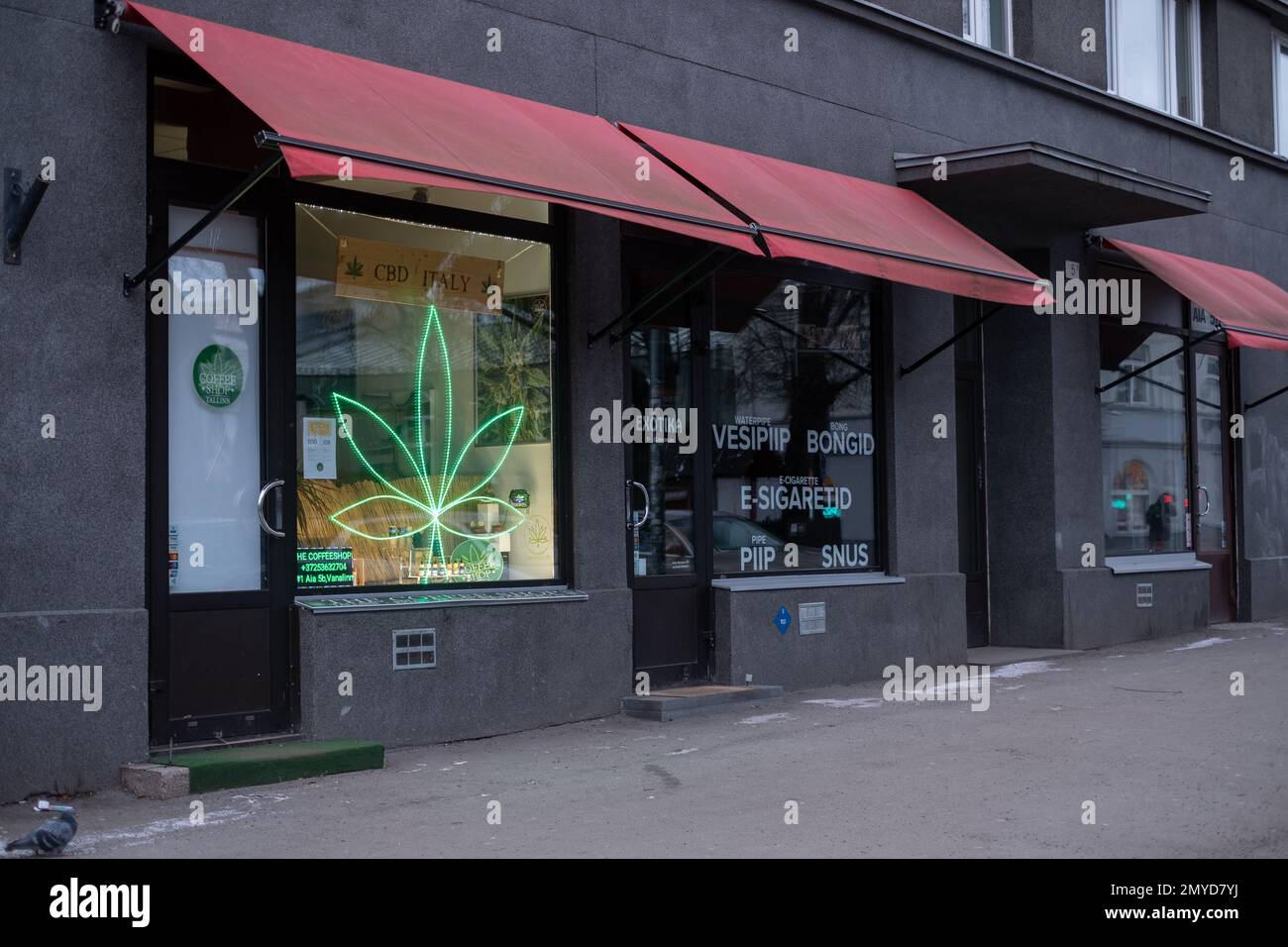 elfbar nachfüll pod läuft aus Vape Bar – Online Vape Shop In Pakistan