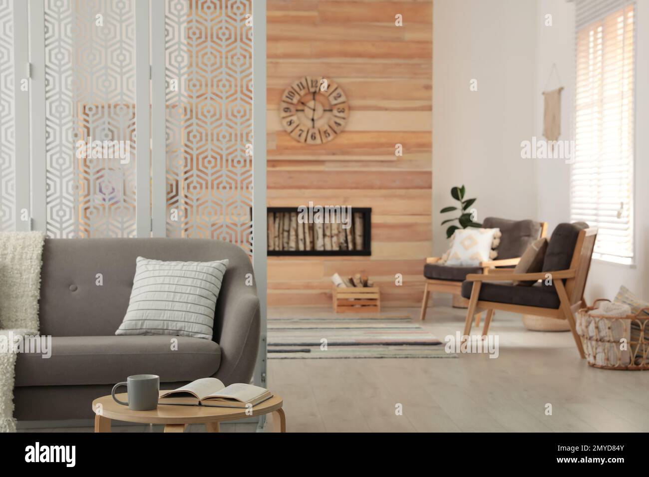 Modern living room interior with stylish furniture Stock Photo - Alamy