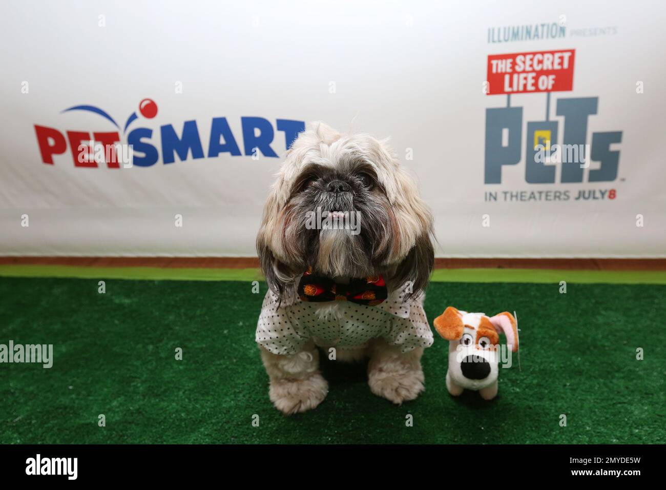 IMAGE DISTRIBUTED FOR PETSMART Instagram pet celebrity Potato