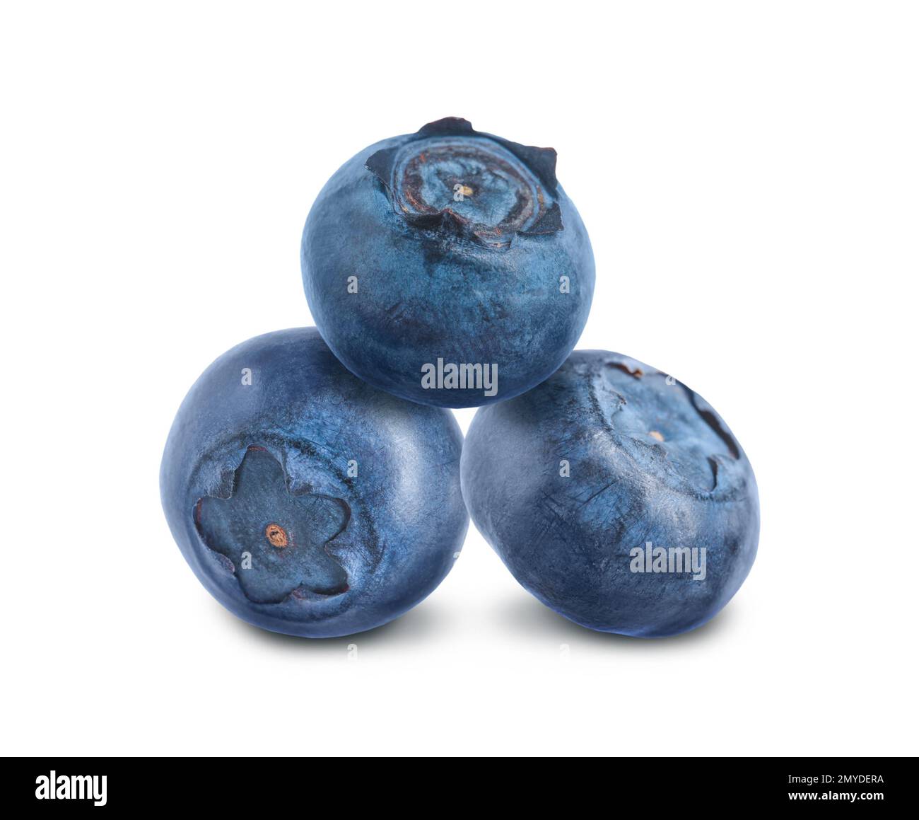 Three whole ripe blueberries on white background Stock Photo