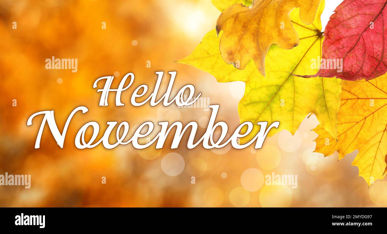 Warm hello autumn text seasonal hi-res stock photography and images - Alamy