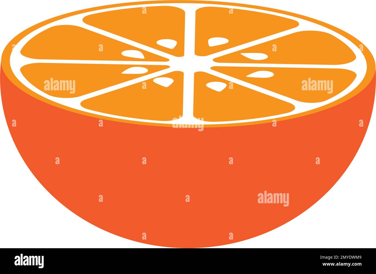 Orange fruit logo Vector illustration template design Stock Vector