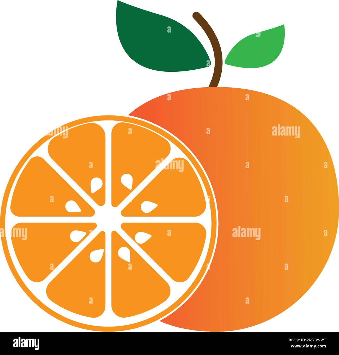 Orange fruit logo Vector illustration template design Stock Vector ...