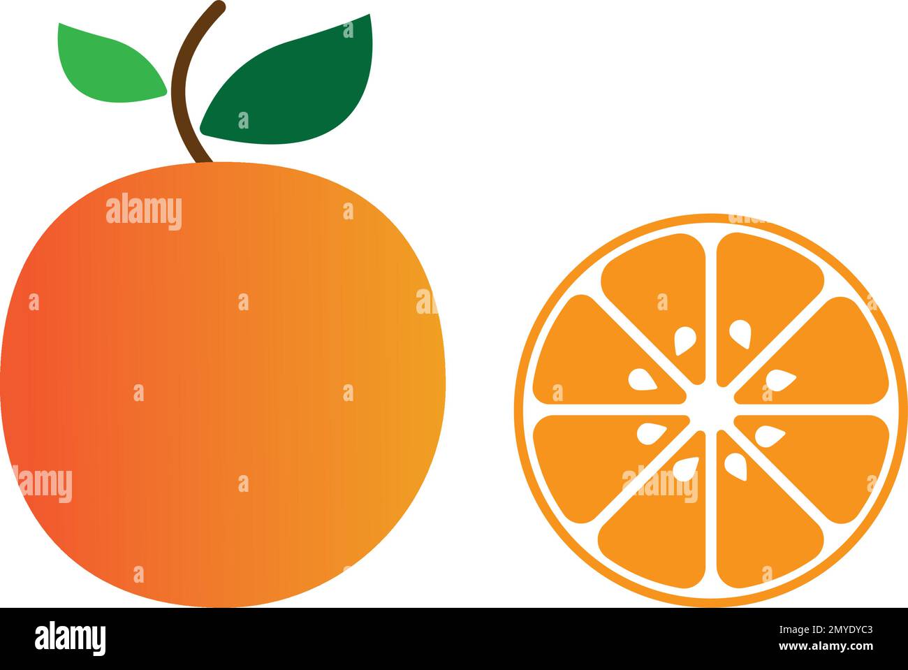 Orange fruit logo Vector illustration template design Stock Vector ...