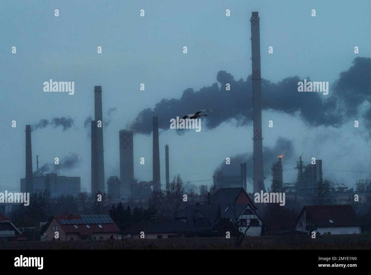 30 January 2023 Brandenburg Schwedt Oder 29 01 2023 Schwedt Oder 