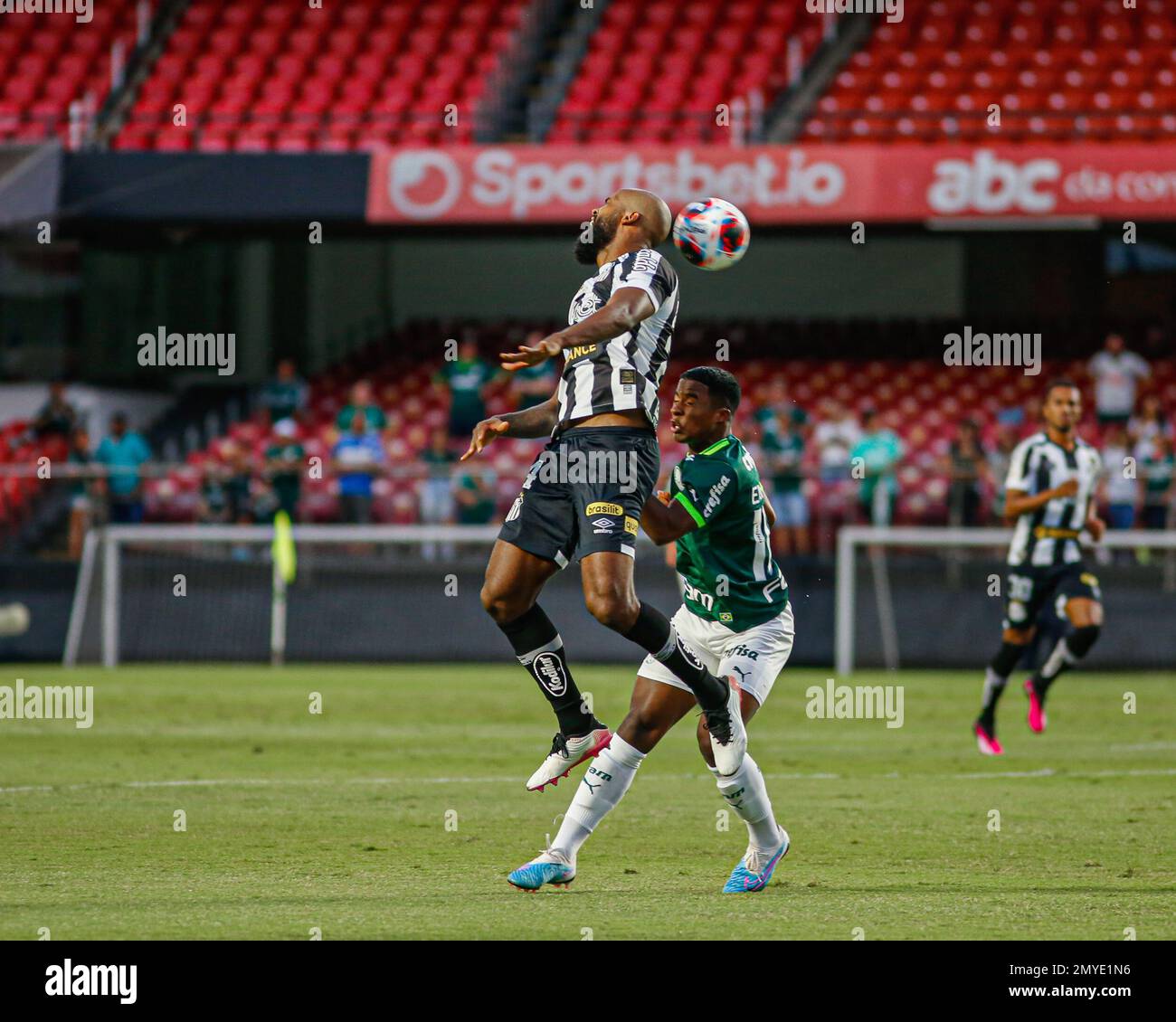 SÃO PAULO, SP - 04.02.2023: PALMEIRAS X SANTOS - Sandry in the match  between Palmeiras X Santos, valid for the 6th round of the Campeonato  Paulista de Futebol, Série A, 2023, held