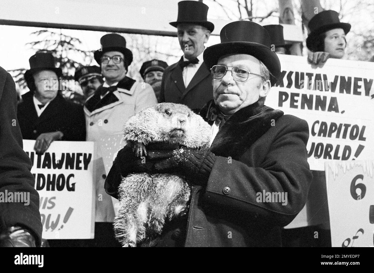 Jim Means holds up a sleepy groundhog, Phil, at daybreak on Feb. 2, 1980, in Punxsutawney, Penn., in front of a crowd of anxious people. The groundhog saw his shadow and proclaimed six more weeks of winter. Means cares for Phil through the year in the animal's home in the town library. (AP Photo/Lucas) Stock Photo
