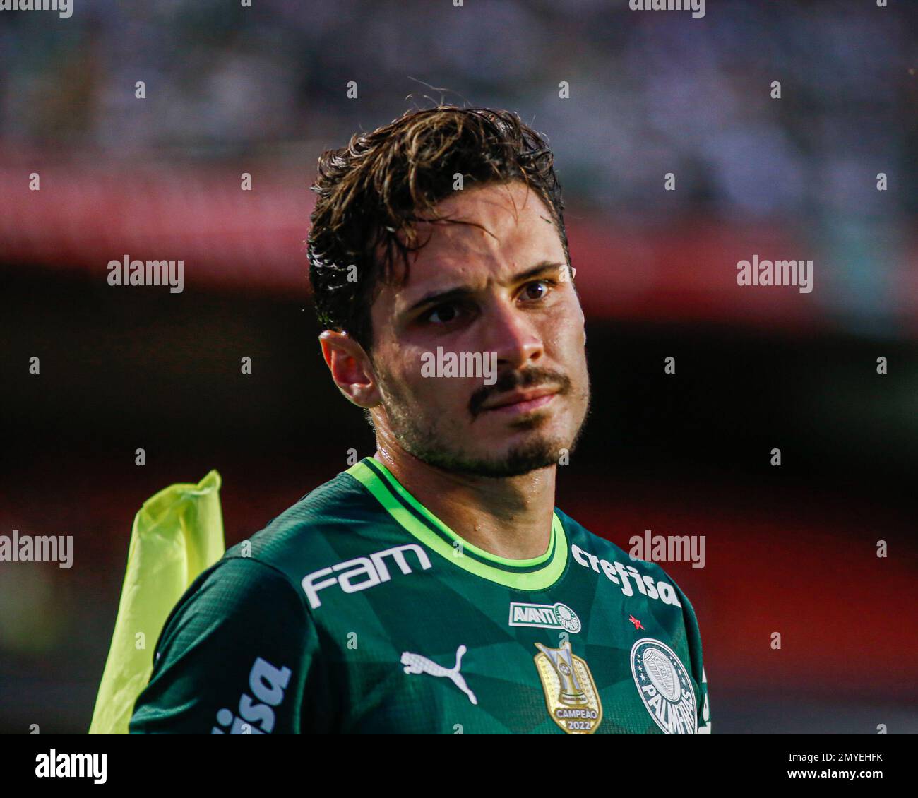 Poster Do Palmeiras - Campeão Paulista Feminino 2022